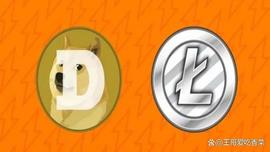 狗狗币（DOGE）、莱特币（LTC）交易在 Ordi 干预后“飙升”_莱特币:Ordinals Finance