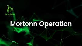 爆款解析：摩顿Mortonn,重新定义数字货币的世界_MOR:数字资产