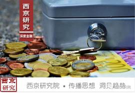 赵建：全球货币体系的本质、演进与兴衰_SEPA:IFT