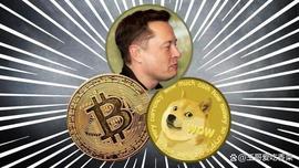 狗狗币（DOGE）价格从 2023 年最严重的卖空中恢复_DOG:加密货币