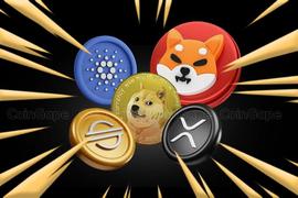 （必须收藏）关于筛选百倍币，强势币的几个逻辑（下）_COIN:COI