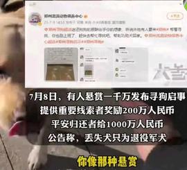 寻狗心切，一千万只是噱头？_比特币:TOP