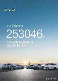 上半年成绩出炉！比亚迪交出125.56万辆答卷，坐稳冠军宝座_DMO:IDMO