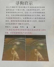 离谱！找狗悬赏1000万，找回后却只给5000，律师：或涉及犯法_ION:MEXC币