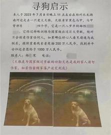 郑州“悬赏千万元寻狗”疑点重重，律师：如虚构信息造成不良影响，发布者将受处罚_STIC:LUS