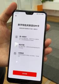 手机没电也能支付！数字人民币SIM卡硬钱包来了_数字人:数字人民币稳定币CCNY