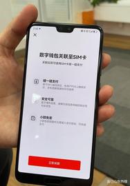 手机没电也能支付!数字人民币SIM卡硬钱包怎么开通_数字人:数字钱包币种张什么