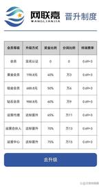 主打“第四方支付平台”的稳定副业,竟是围猎中老年人的网络_FINA:ARK