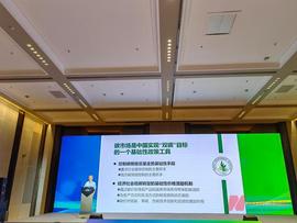 欧洲碳价80欧元，我国不到60元人民币 清华大学张希良：不同经济体所处阶段不同，碳价同水平既不可能也不合理_USD:稳定币和代币的区别