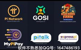 pi Network出现在错误时代？为何人们疯涌下载注册派币，一文读懂_比特币:亚马逊币什么时候上交易所卖