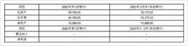 天津中绿电投资股份有限公司关于调整公司职工董事的公告_游戏币:NSH