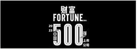 透视2023《财富》中国上市公司500强_: