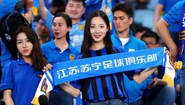 回顾：亏麻了！10年净利润，仅用一年全部亏掉！多元化害惨苏宁_LOGO:TCL