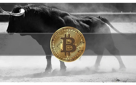 金色观察 | 不再迷茫 一文看清2023年比特币市场风向_加密货币:加密货币持续下跌