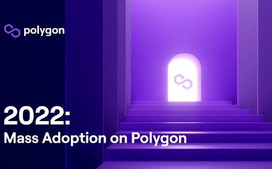 Polygon 生态2022：在主流世界里撕开一束光_POL:NFT-DAO