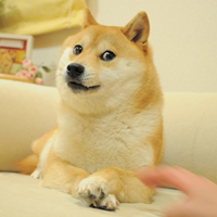 The Doge NFT|DOG_DOG币价格_DOG最新价格_DOG交易所