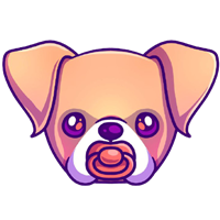 Baby Boxer|BBOXER_BBOXER币价格_BBOXER最新价格_BBOXER交易所