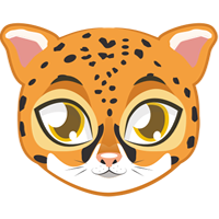 Leopard|LEOPARD_LEOPARD币价格_LEOPARD最新价格_LEOPARD交易所