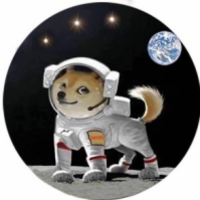 太空狗|DOGZ_DOGZ币价格_DOGZ最新价格_DOGZ交易所