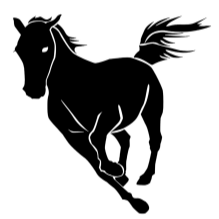 黑马币|FMUSK_FMUSK币价格_FMUSK最新价格_FMUSK交易所