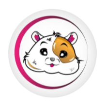 Hamtaro|HAMTARO_HAMTARO币价格_HAMTARO最新价格_HAMTARO交易所