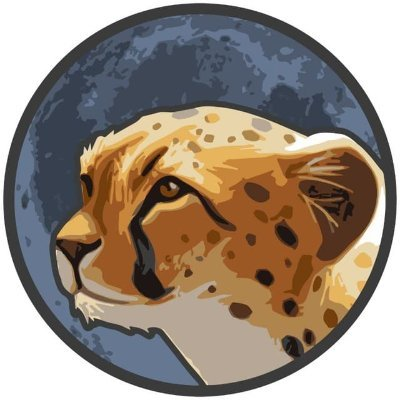 Cheetah token|CHTT_CHTT币价格_CHTT最新价格_CHTT交易所