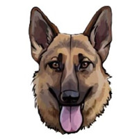GermanShepherdDog|GSD_GSD币价格_GSD最新价格_GSD交易所