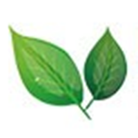 PAD_PAD币价格_PAD最新价格_PAD交易所