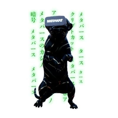 Meta Meerkat|METAKAT_METAKAT币价格_METAKAT最新价格_METAKAT交易所