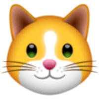 KittenFinance|KIF_KIF币价格_KIF最新价格_KIF交易所