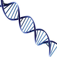 碱基|DNA_DNA币价格_DNA最新价格_DNA交易所