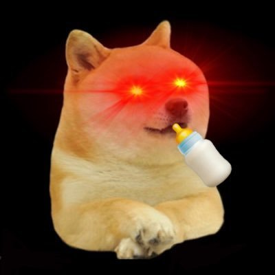 Baby EverDoge|BABYEVERDOGE_BABYEVERDOGE币价格_BABYEVERDOGE最新价格_BABYEVERDOGE交易所