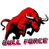 Bull Force Token|BFT_BFT币价格_BFT最新价格_BFT交易所
