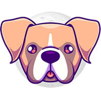 Boxer Inu|BOXER_BOXER币价格_BOXER最新价格_BOXER交易所