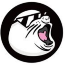 海狗币|SEAD_SEAD币价格_SEAD最新价格_SEAD交易所