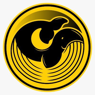 MYFinance|MYFI_MYFI币价格_MYFI最新价格_MYFI交易所