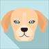 DOGT Token|DOGT_DOGT币价格_DOGT最新价格_DOGT交易所