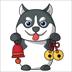 Feichang Dog|FCD_FCD币价格_FCD最新价格_FCD交易所