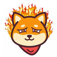 Fire Inu|FINU_FINU币价格_FINU最新价格_FINU交易所