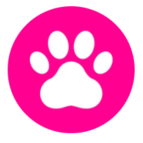Polkalaunch|POLA_POLA币价格_POLA最新价格_POLA交易所