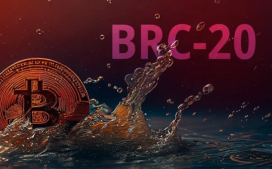 深入探讨 BRC-20 代币标准_BRC:ORDI币