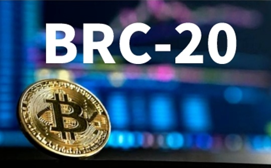 揭开DOMO的神秘面纱：BRC-20背后的「V神」_DEX:USD