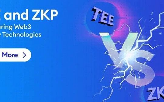 隐私保护技术TEE与ZKP的区别究竟在哪里？4个维度帮你全面了解_ENS:unisat软件能不能买nft