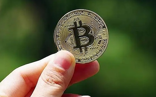 项目周刊 | 2019年的比特币买家已全部回到盈利状态_区块链:TOKEN