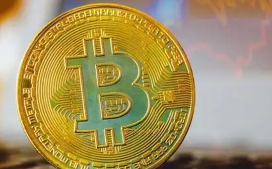 混乱与秩序 加密行业严冬里的守望_BTC:NFT