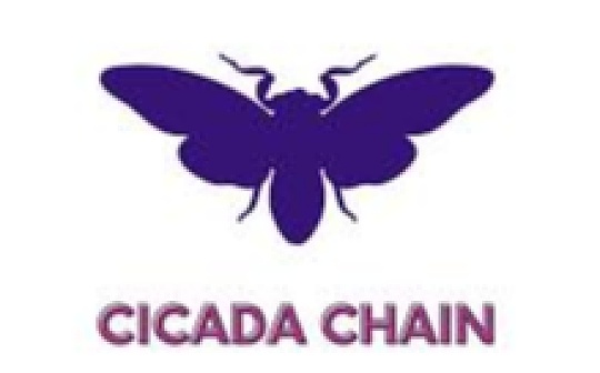 a16z：Cicada如何利用时间锁谜题和ZK证明实现链上投票_STA:Starship Doge