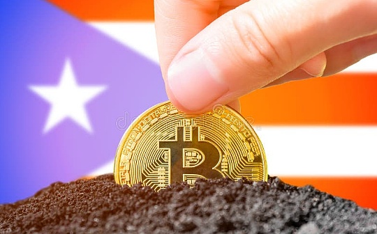 美国国税局正在调查利用波多黎各税收优惠的加密货币交易者_加密货币:OIN
