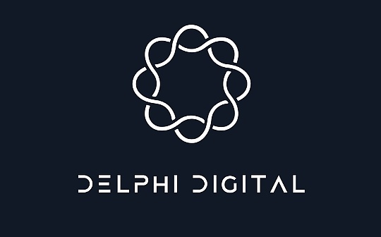 Delphi Digital 联创：新一轮加密货币牛市将开启_DEL:RISITA