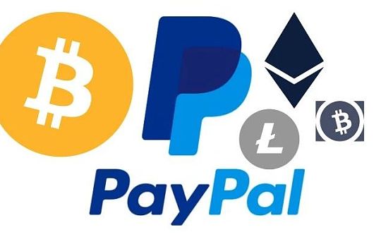 继发行美元稳定币后PayPal又推出Cryptocurrency中心 会成为下一轮牛市的导火索吗？_PAY:Cryptobulls Token