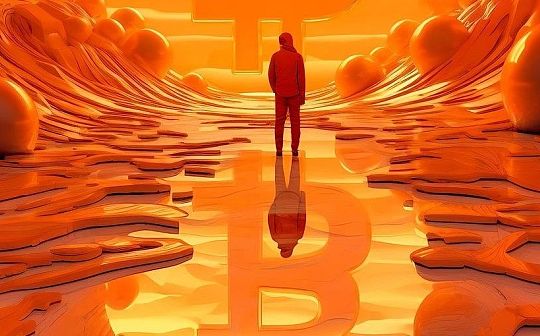 比特币文化/技术复兴？Ordinals 系列协议大起底_NBS:brc20币sats币怎么样